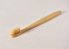 Toothbrush with Ultra-Soft Nylon Bristles