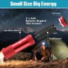 12 Pcs Mini Flashlights Bulk with Lanyard