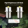 LED Flashlight Bulbs