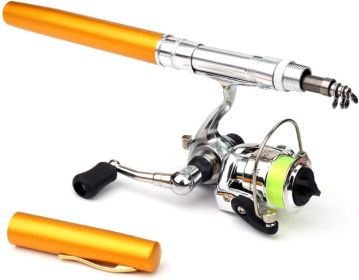 Mini Pen Fishing Pole Kit (size: Gold   1.6m)