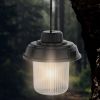 Outdoor LED Hanging Lamp