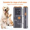 Dog Barking Control Training with LED Flashlight