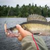 Outdoor Fishing Floating Soft Bait 8cm-5g Bionic False Lure